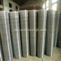 3/4 Wire Mesh Welded With Hole Square